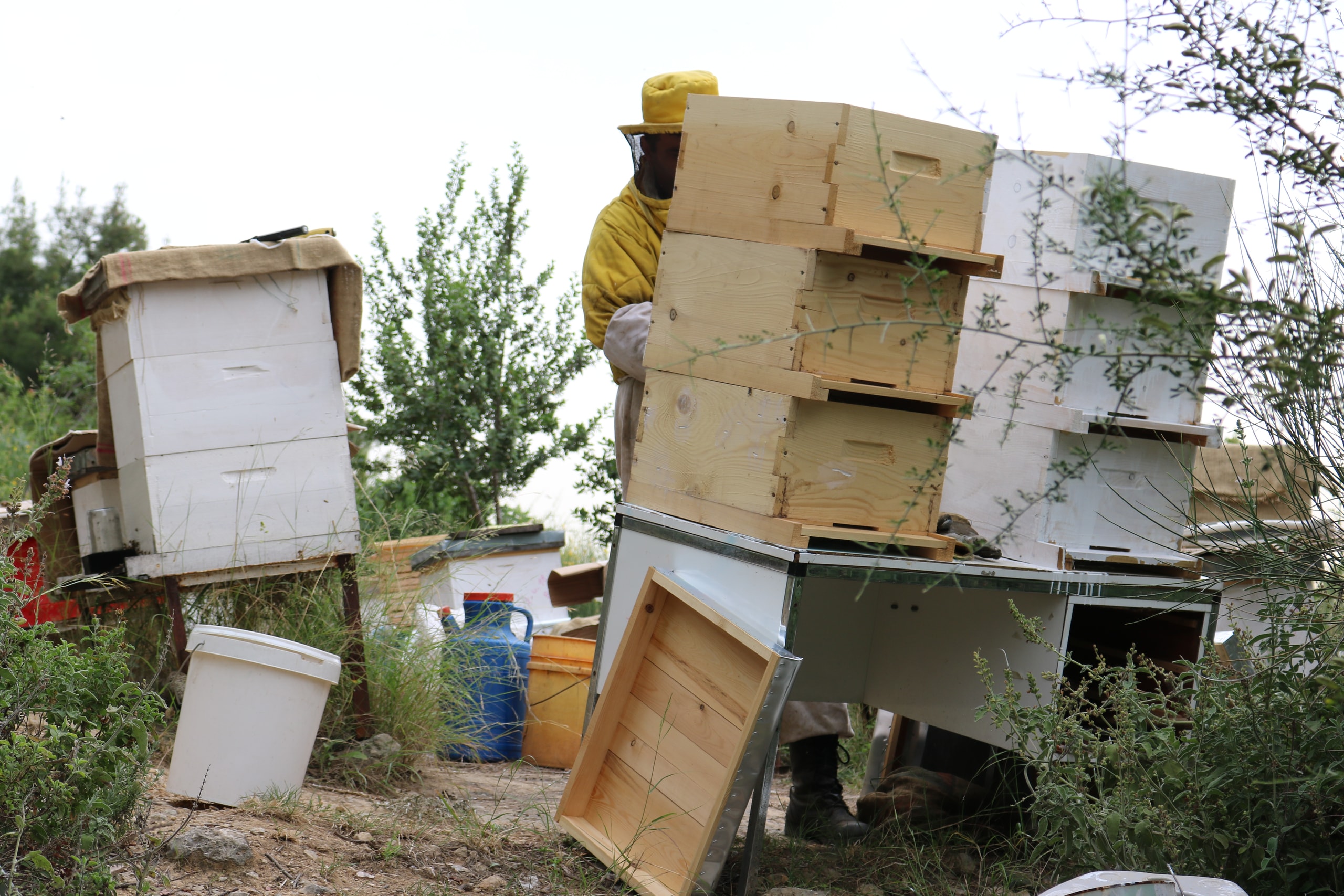 Stacked wooden beehives in a garden