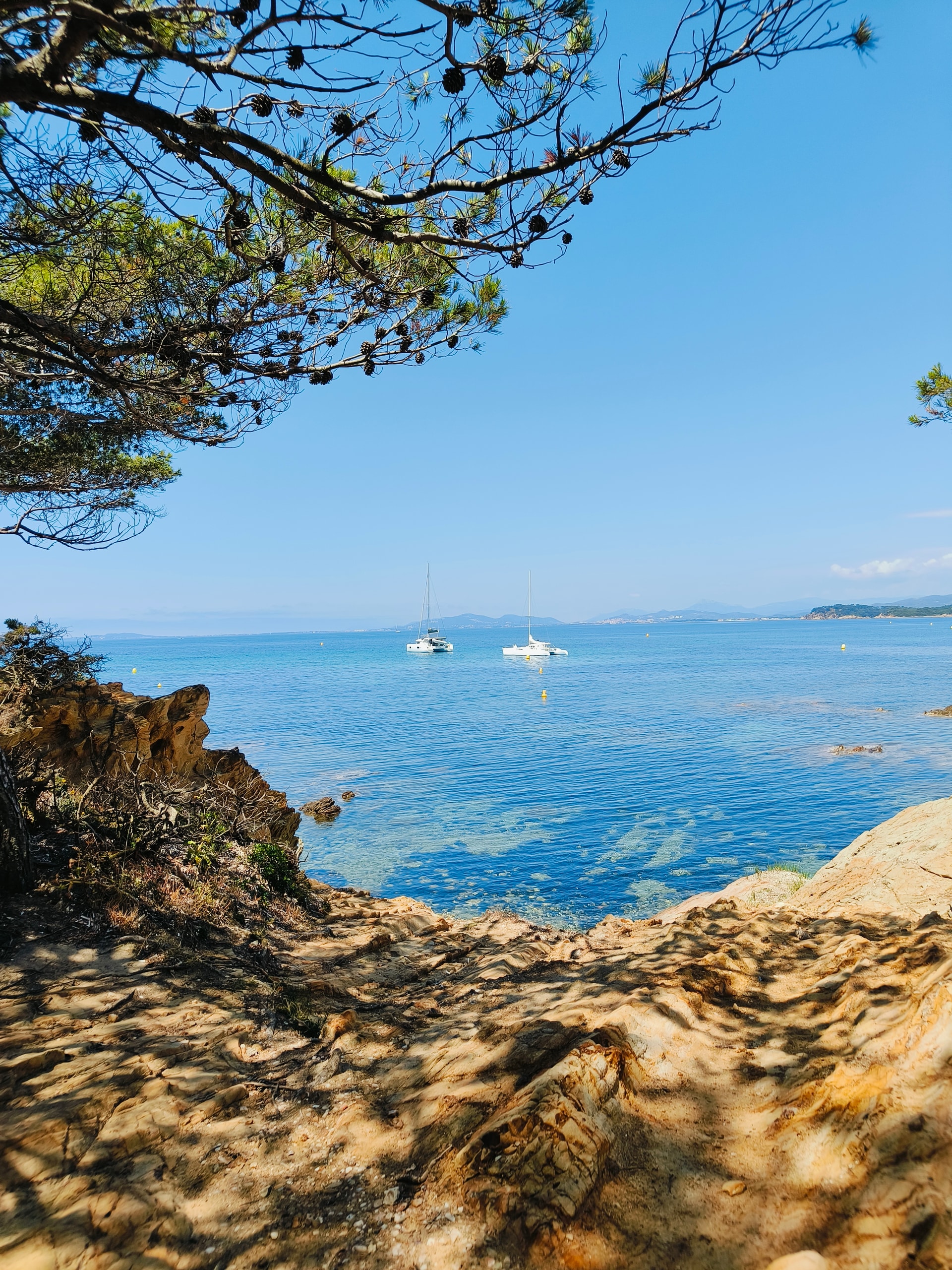 Turquoise sea dotted with sailboats, seen from a sandy clifftop under pine branches