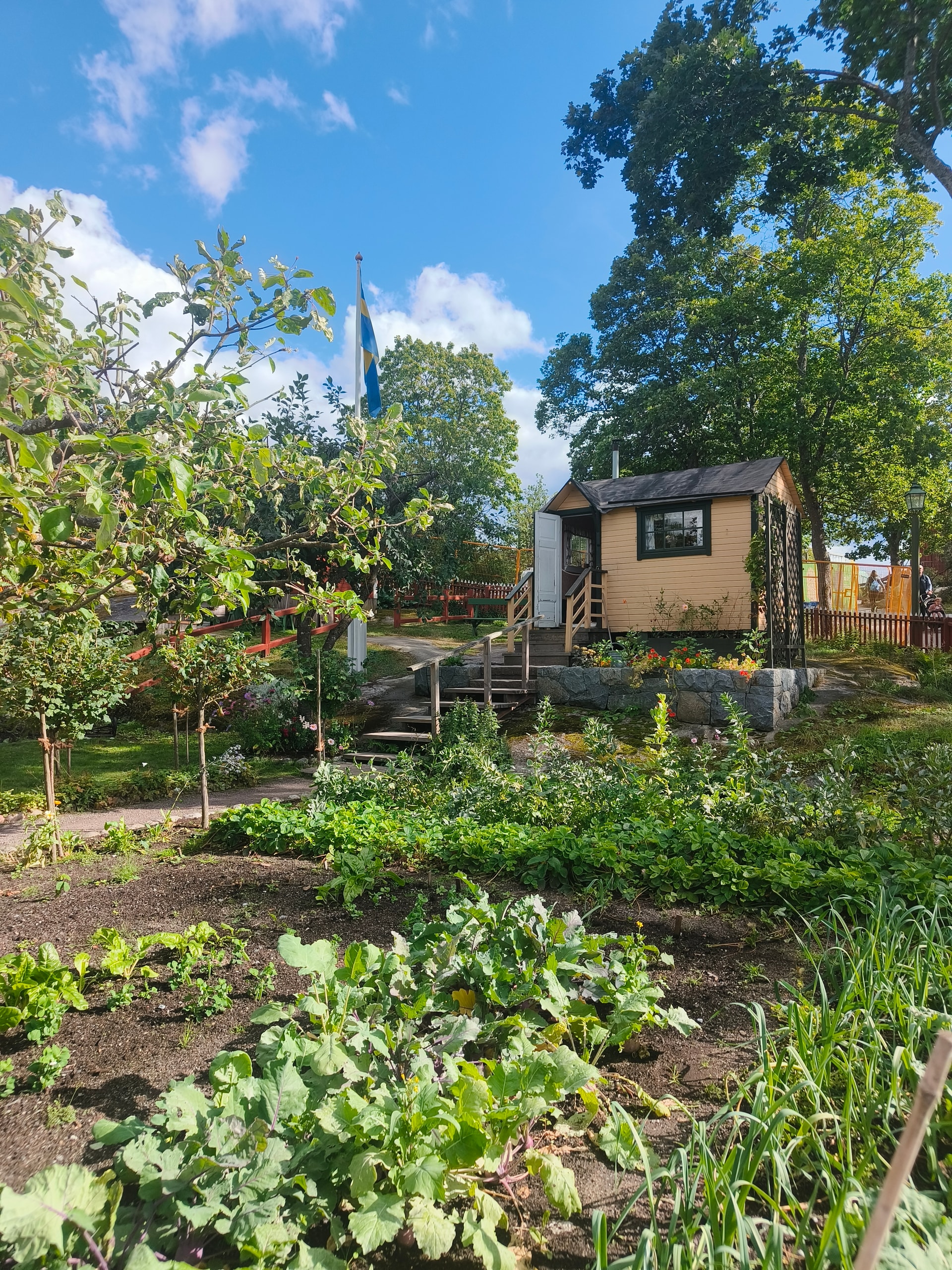 Vegetable garden beds with a small shed and a church spire beyond the trees