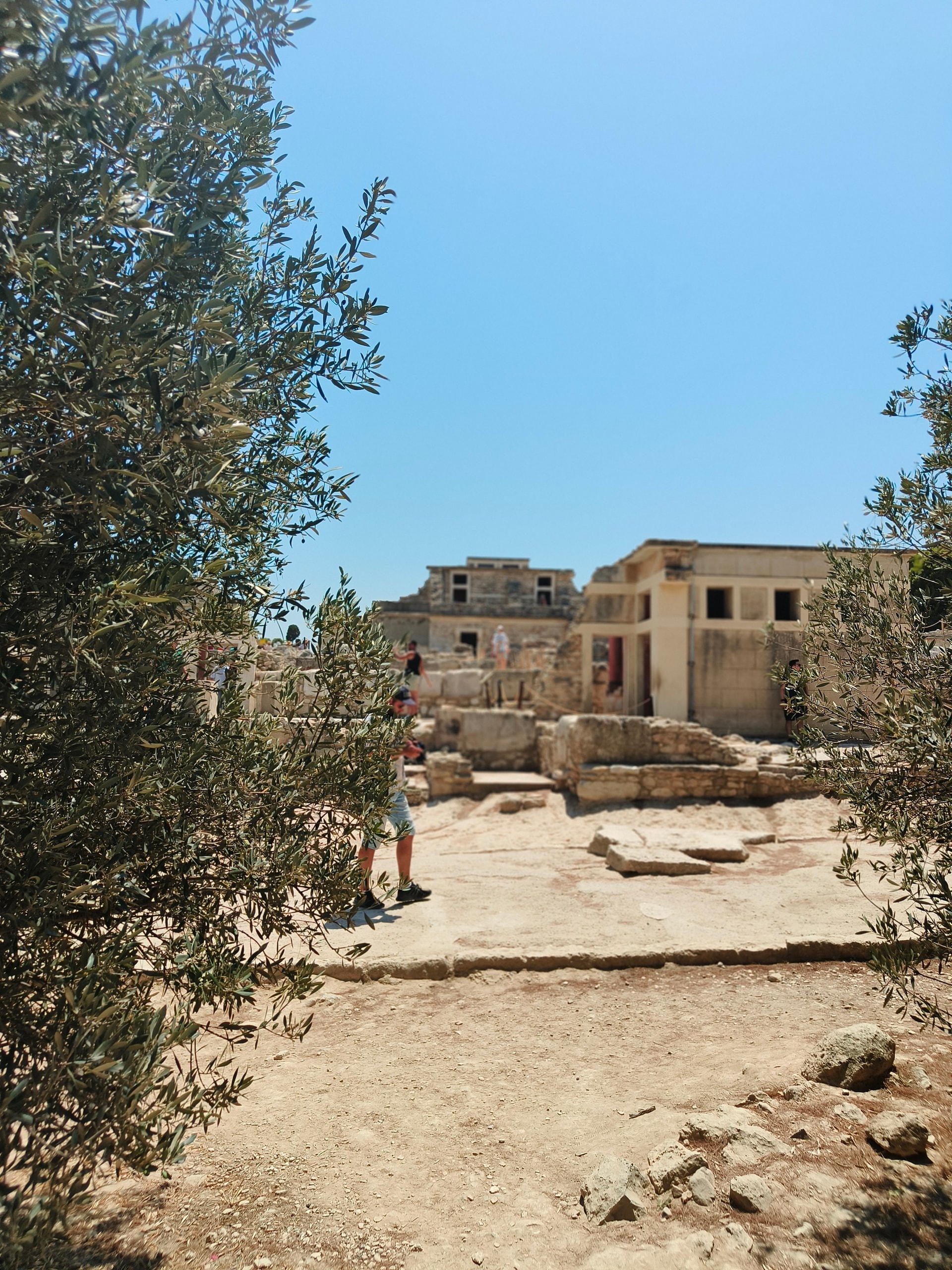 Weathered stone ruins among olive trees under a clear sky