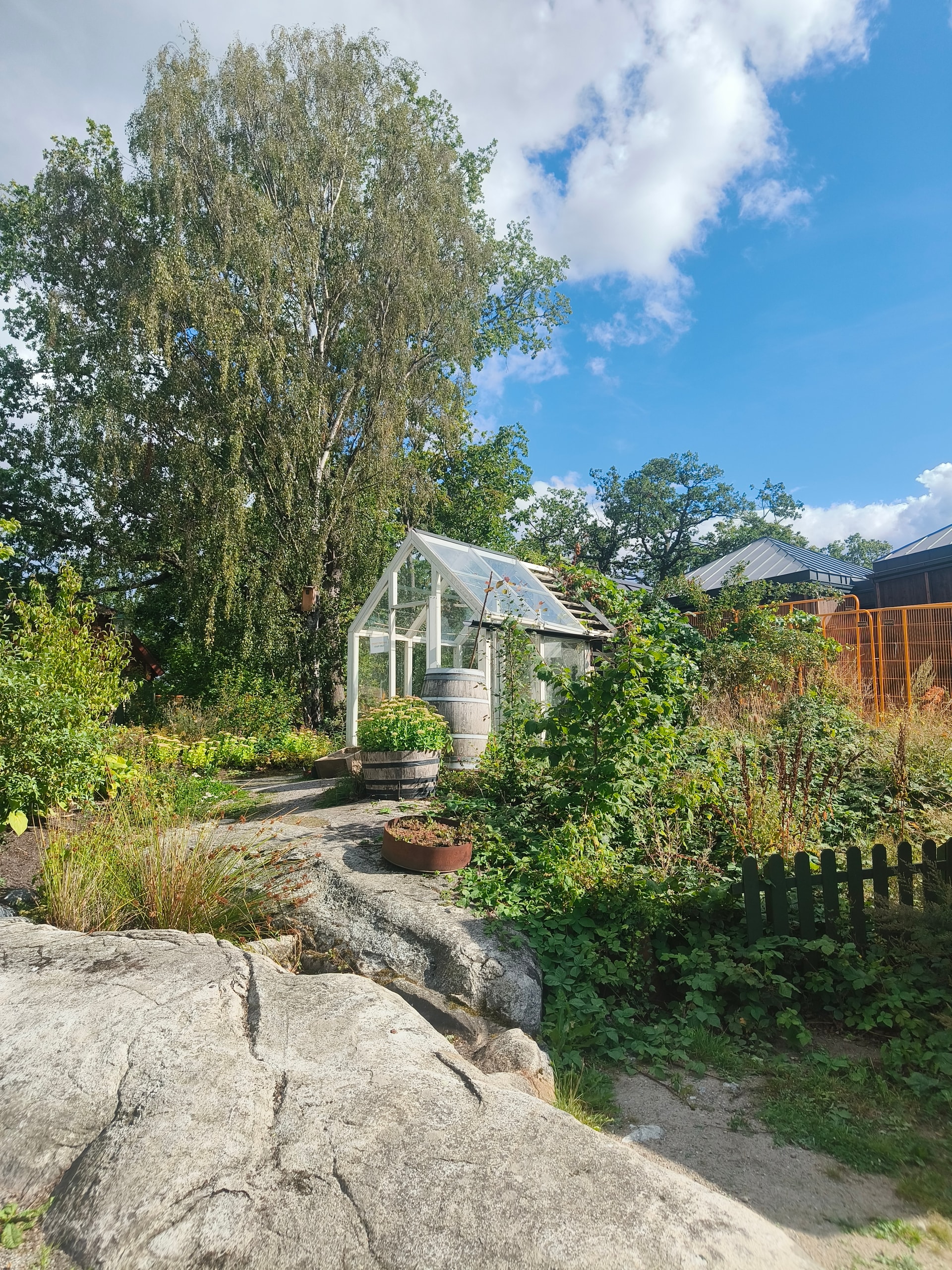 Garden path winding past rocks and trees to a small greenhouse