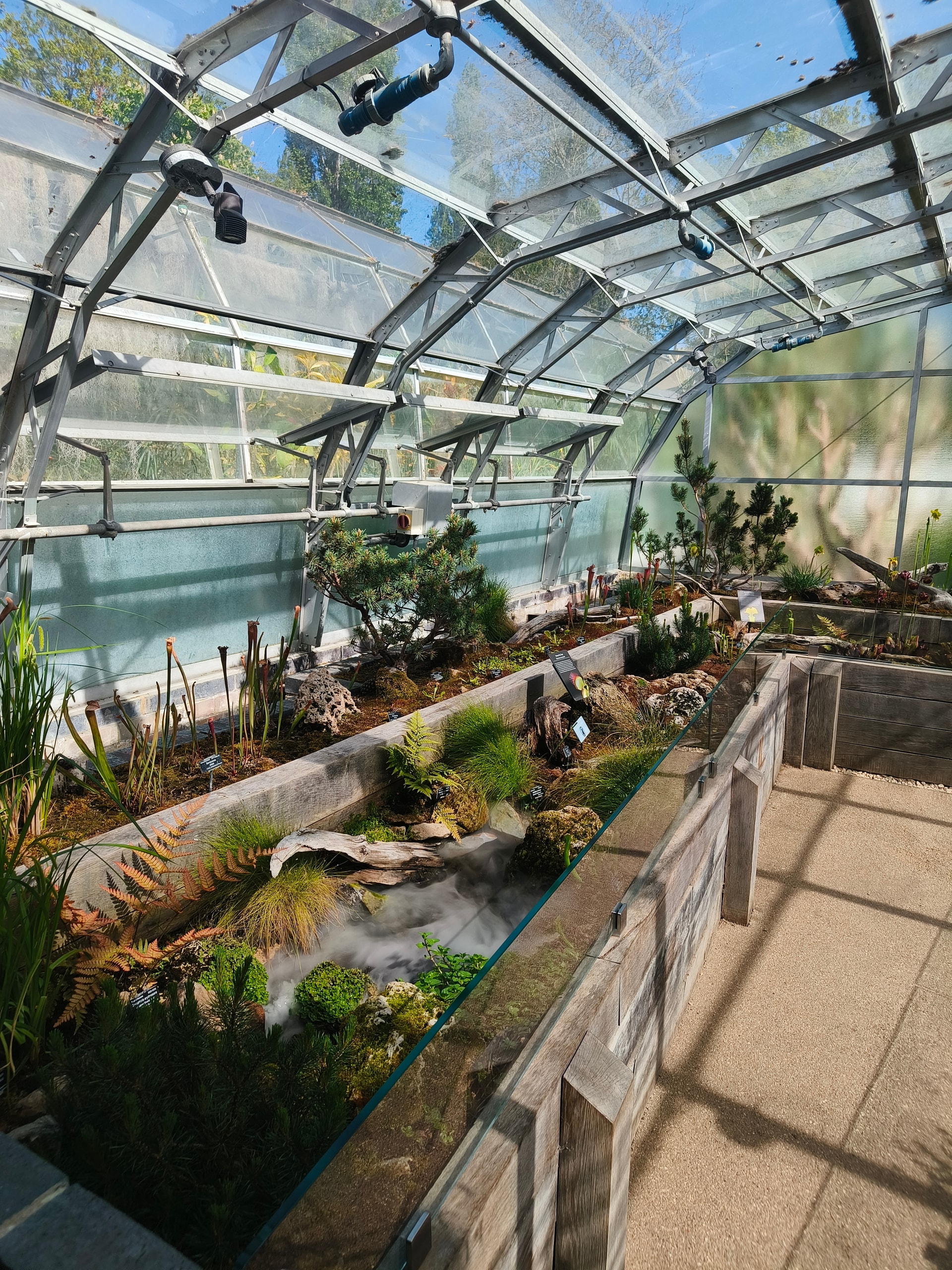 Glasshouse interior with a planted bed alongside a wooden walkway