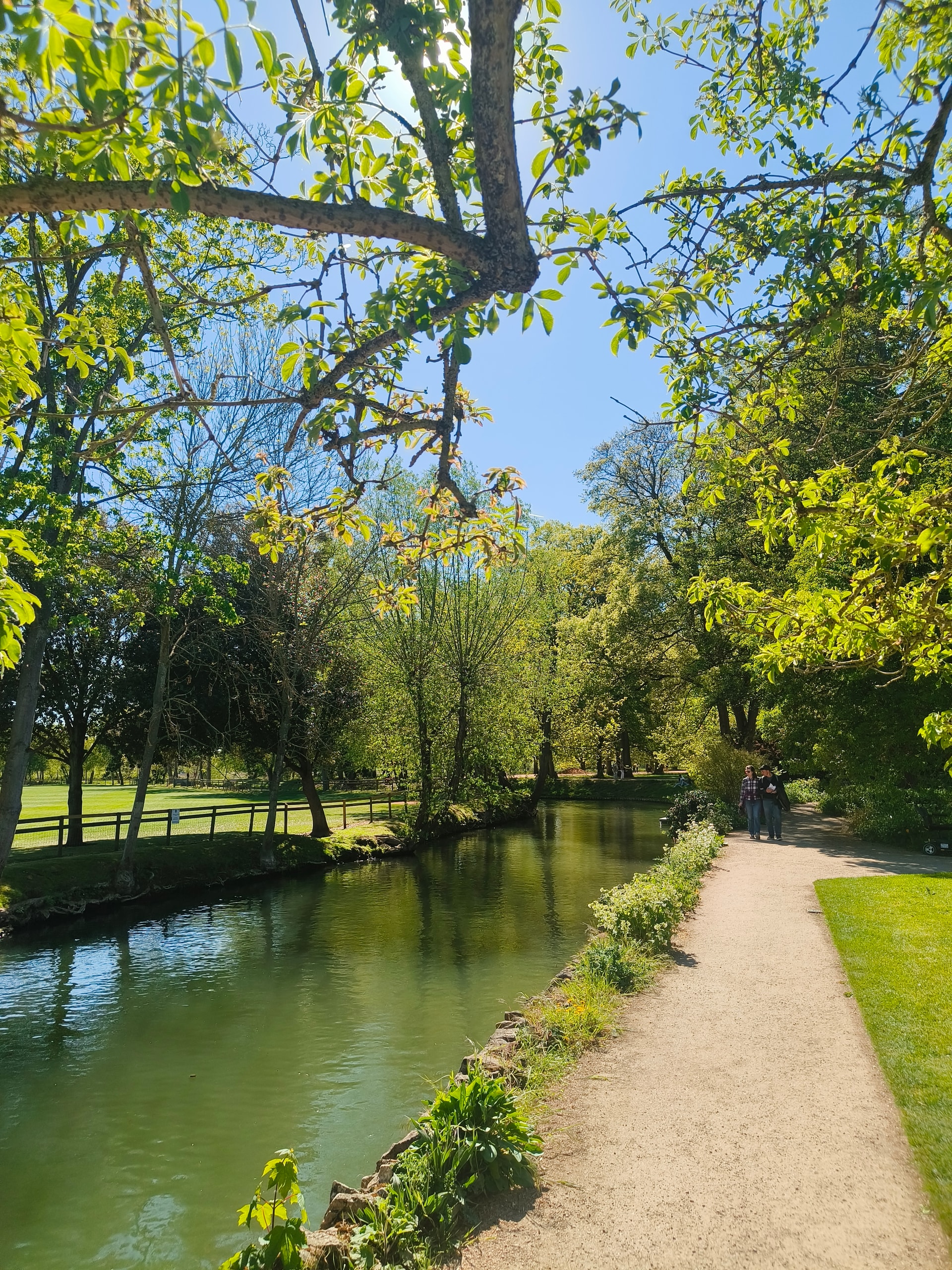 Tree-lined riverbank with a gravel path beside calm green water